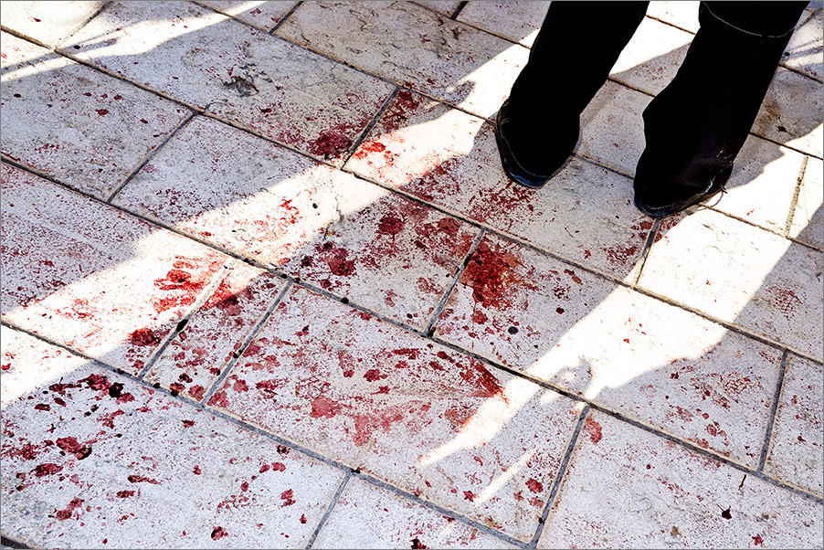 Il coula pour la première fois le 7 juin 2008. Cette galerie retrace les événements de l'époque, les années qui suivirent. Elle prépare surtout à celles qui arrivent...